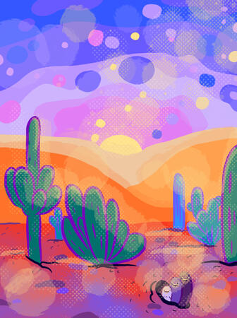 desert sunset