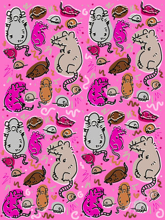 rats and rodents